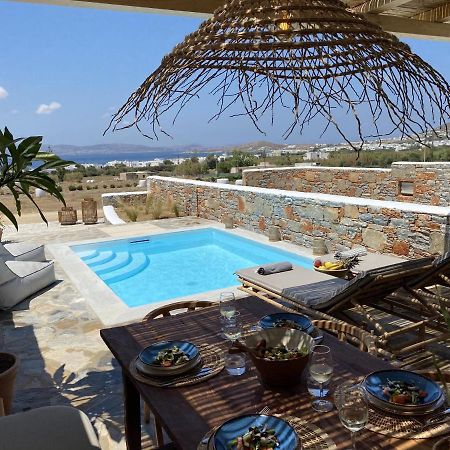 Villa Ypsilon Naxos - Luxury Holiday House With Amazing Sea View & Private Pool Agia Anna  Eksteriør bilde