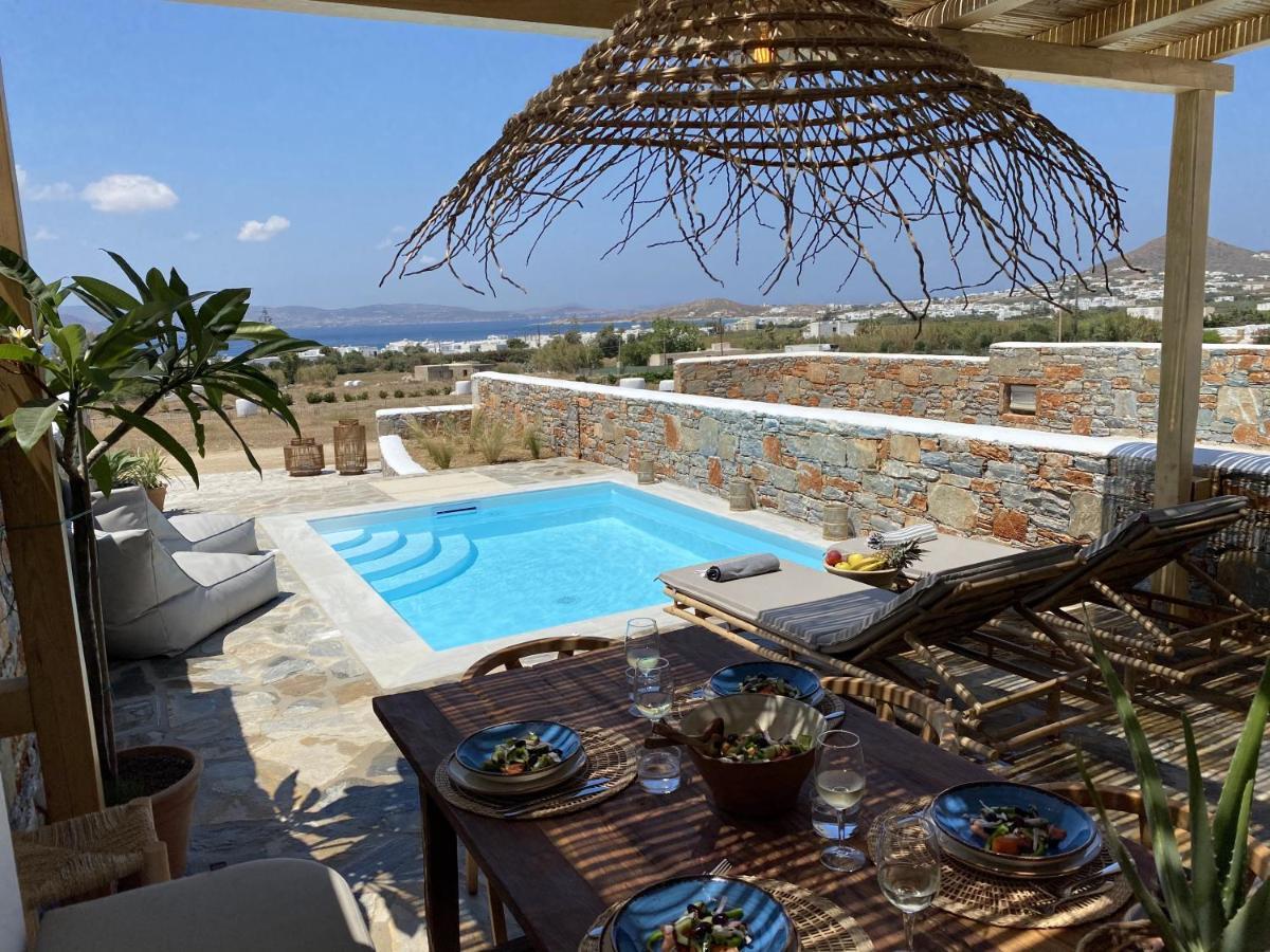 Villa Ypsilon Naxos - Luxury Holiday House With Amazing Sea View & Private Pool Agia Anna  Eksteriør bilde