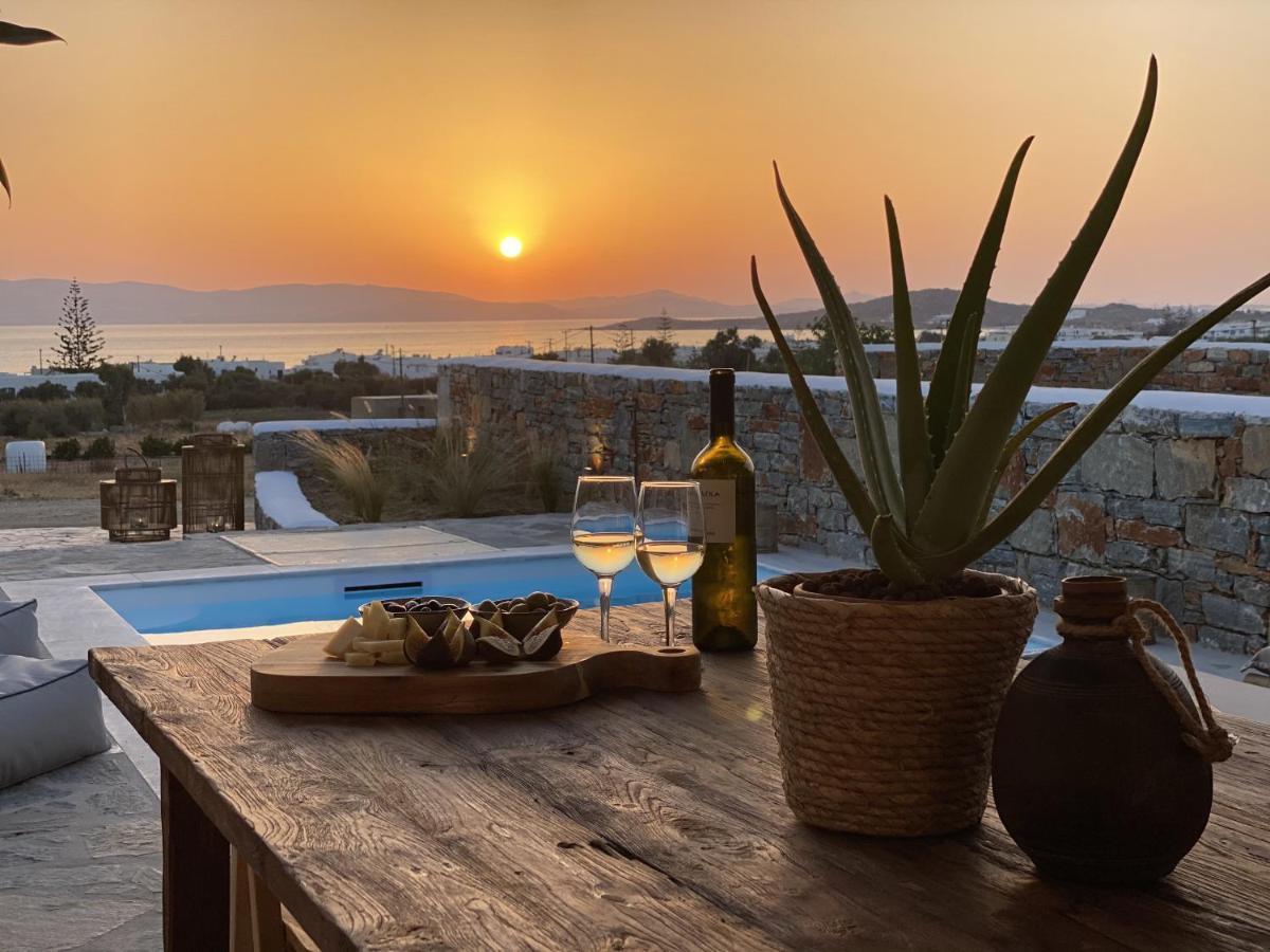 Villa Ypsilon Naxos - Luxury Holiday House With Amazing Sea View & Private Pool Agia Anna  Eksteriør bilde