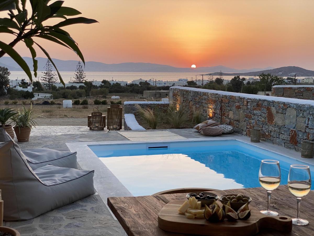 Villa Ypsilon Naxos - Luxury Holiday House With Amazing Sea View & Private Pool Agia Anna  Eksteriør bilde