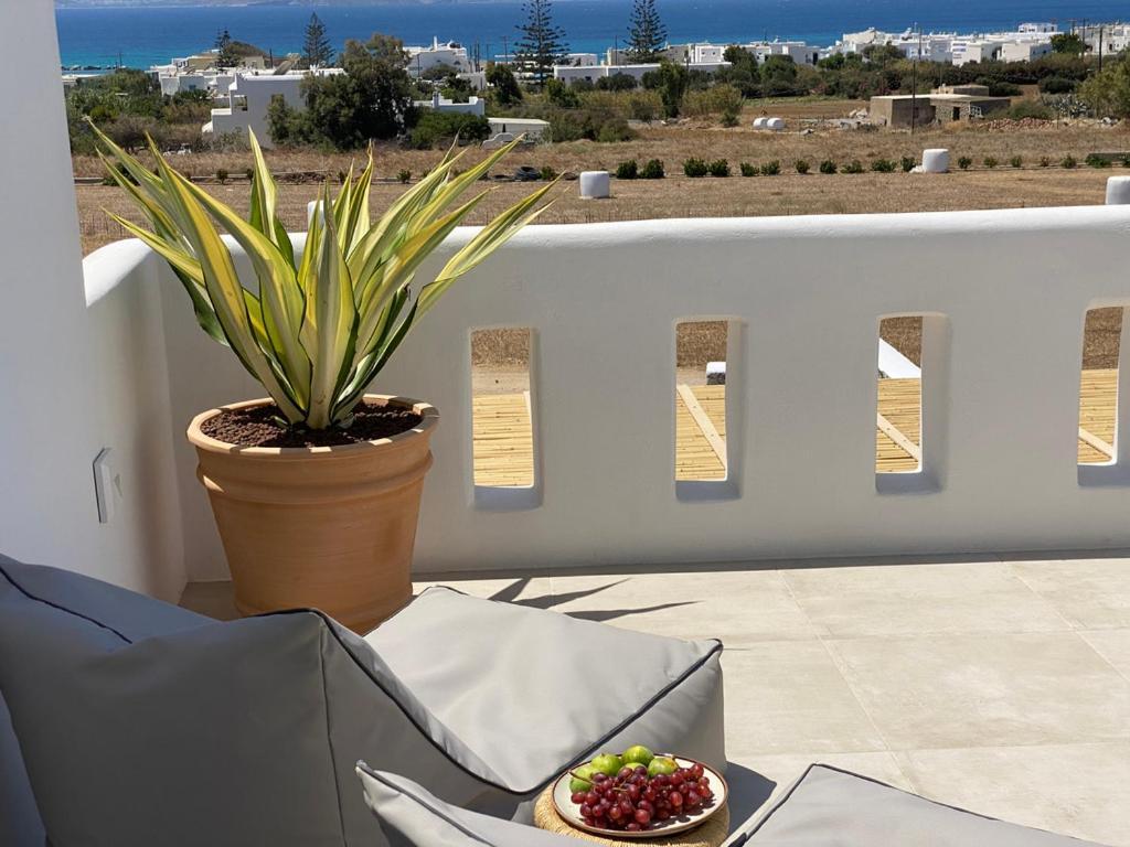 Villa Ypsilon Naxos - Luxury Holiday House With Amazing Sea View & Private Pool Agia Anna  Eksteriør bilde