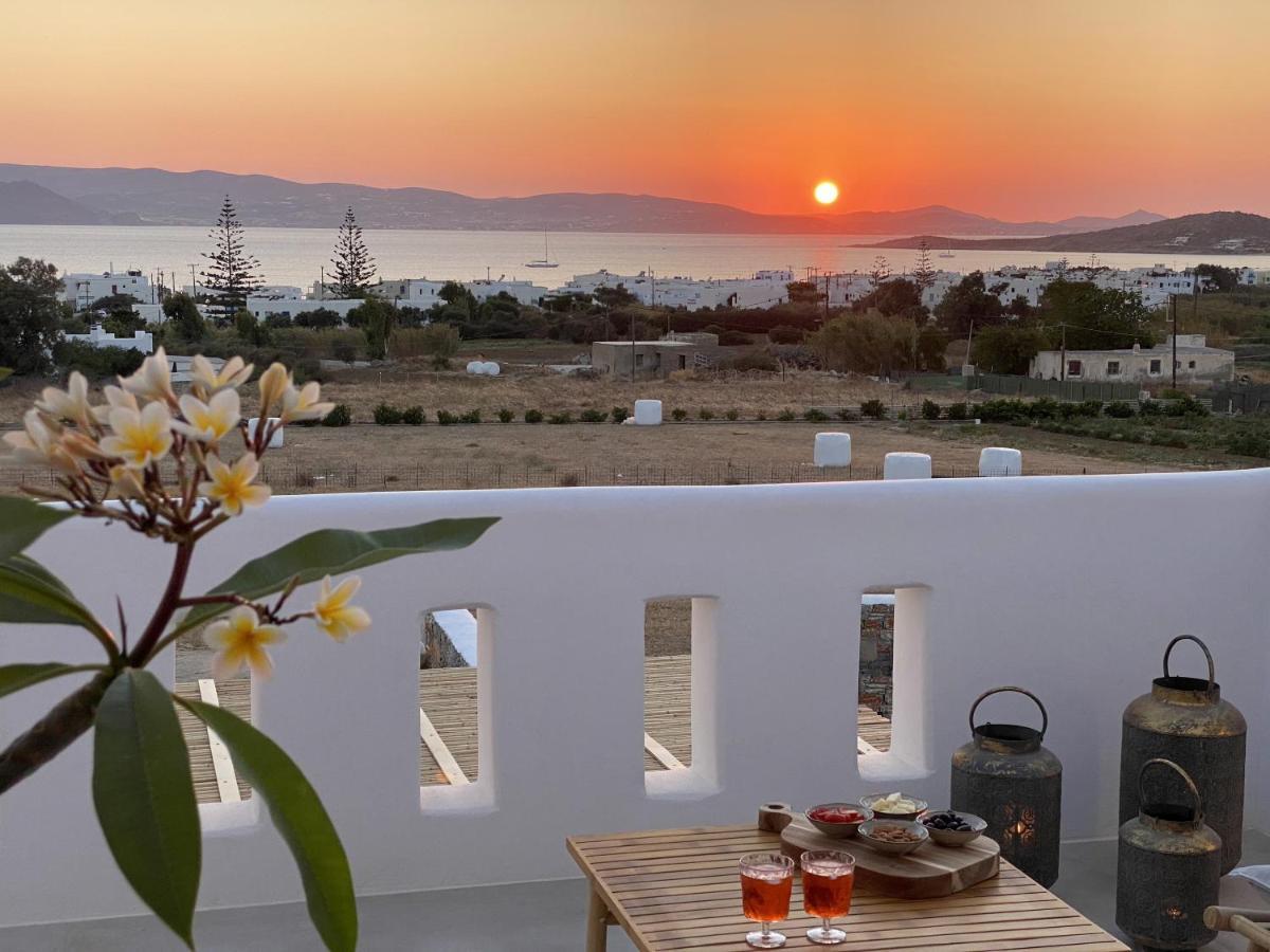 Villa Ypsilon Naxos - Luxury Holiday House With Amazing Sea View & Private Pool Agia Anna  Eksteriør bilde